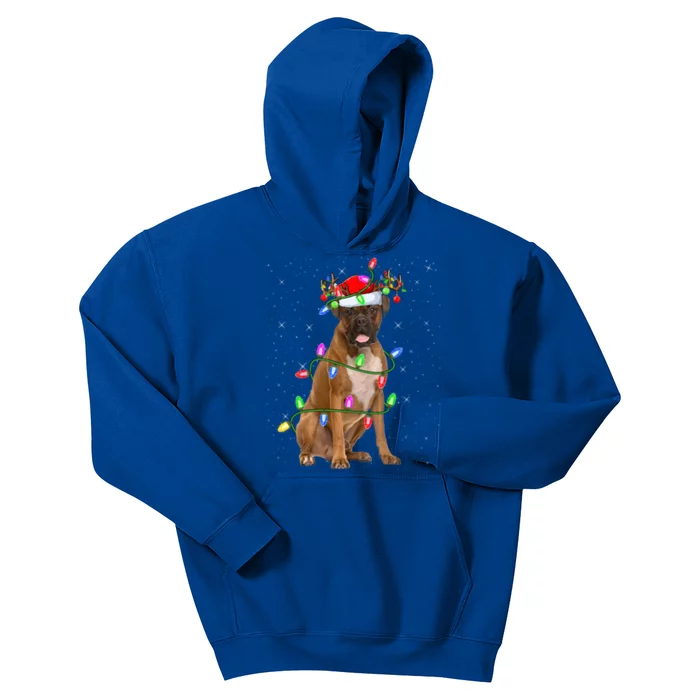 Boxer Dog Lover Xmas Lighting Santa Boxer Christmas Gift Kids Hoodie