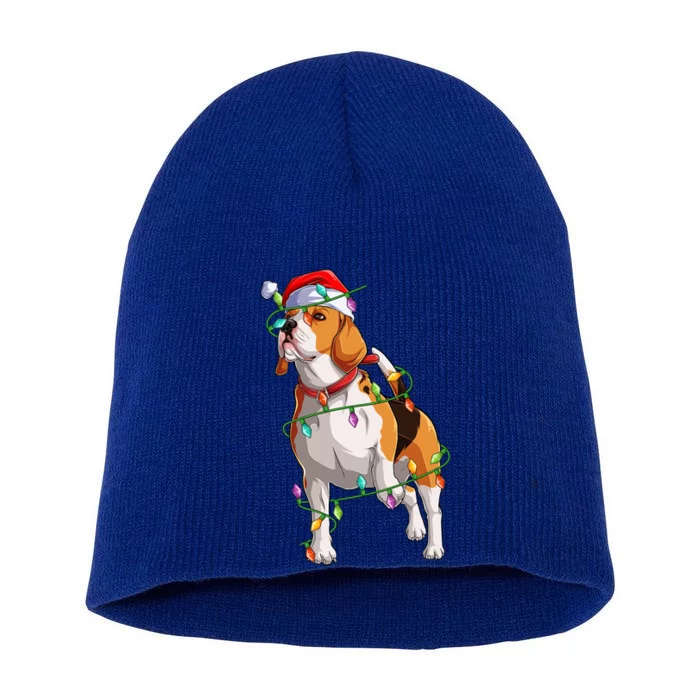 Beagle Dog Lover Xmas Santa Hat Beagle Christmas Gift Short Acrylic Beanie