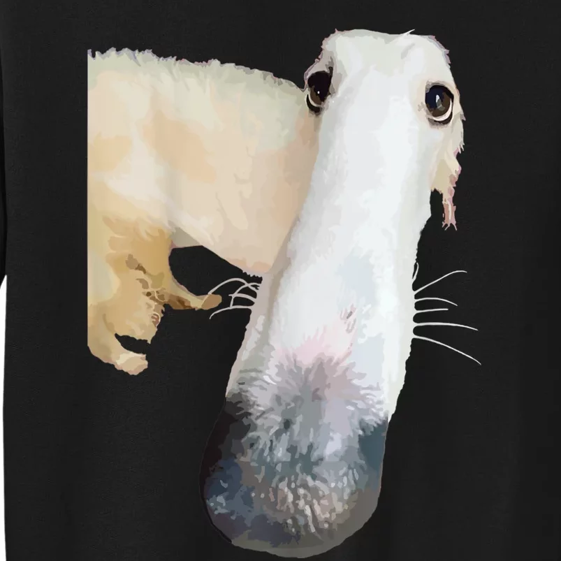 Borzoi Dog Meme Funny Long Nose Borzoi Russian Sighthound Sweatshirt