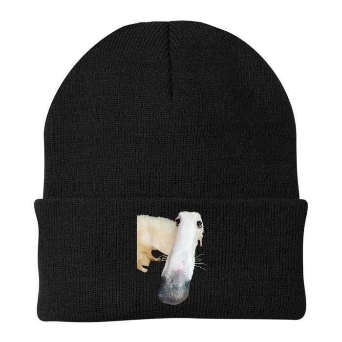 Borzoi Dog Meme Funny Long Nose Borzoi Russian Sighthound Knit Cap Winter Beanie