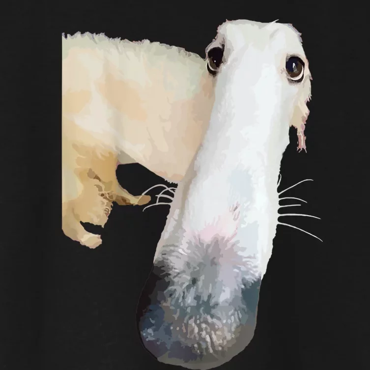 Borzoi Dog Meme Funny Long Nose Borzoi Russian Sighthound Women's Crop Top Tee