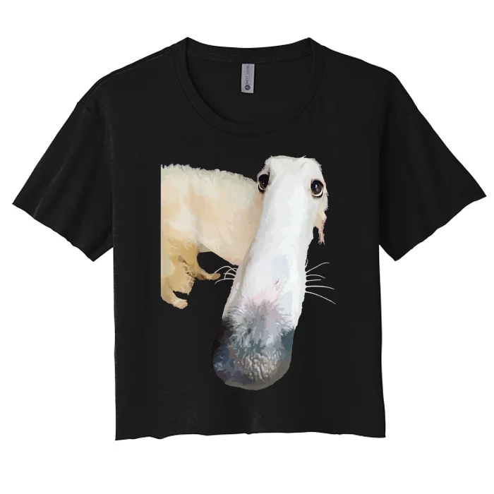 Borzoi Dog Meme Funny Long Nose Borzoi Russian Sighthound Women's Crop Top Tee