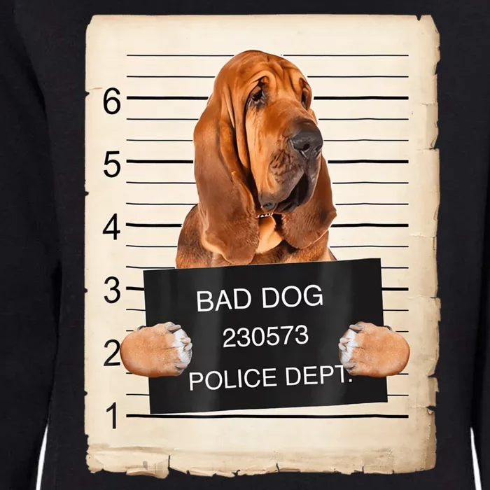 Bloodhound Dog Mug Shot Womens California Wash Sweatshirt