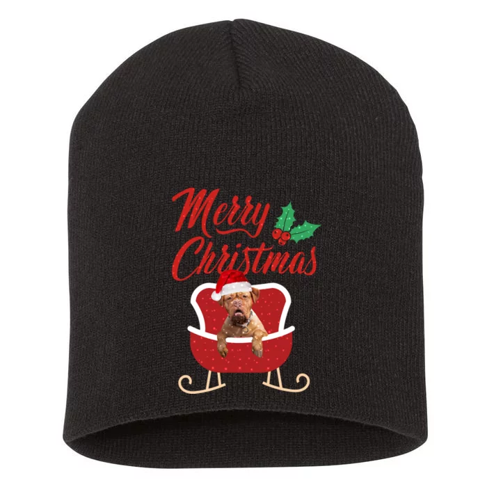 Bordeaux Dog Merry Christmas Design For The Holiday Season! Short Acrylic Beanie