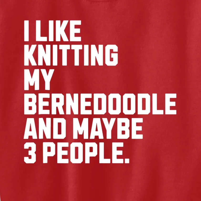 Bernedoodle Dog Owner Knitting Lover Funny Knitter Kids Sweatshirt