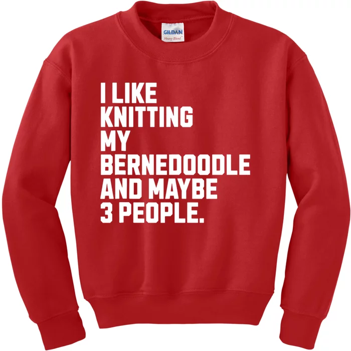 Bernedoodle Dog Owner Knitting Lover Funny Knitter Kids Sweatshirt