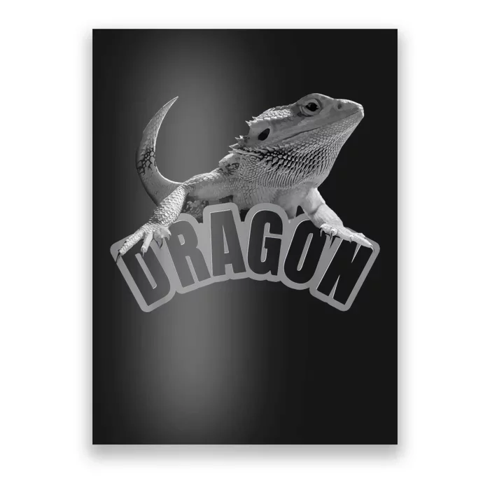 Bearded Dragon Reptiles Pet Lizard Poster