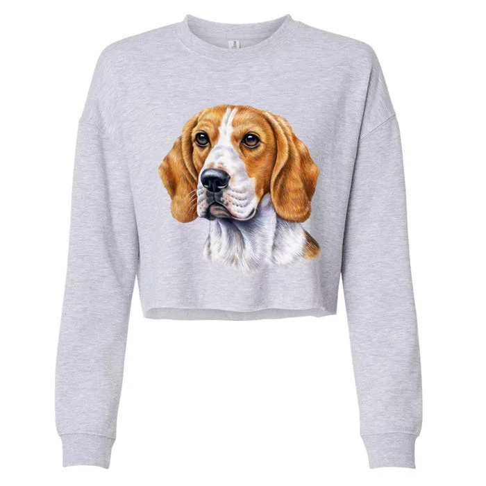 Beagle Face Cropped Pullover Crew