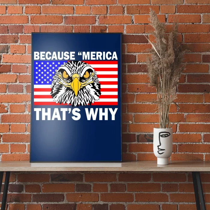 Because 'Merica That's Why! Eagle Poster