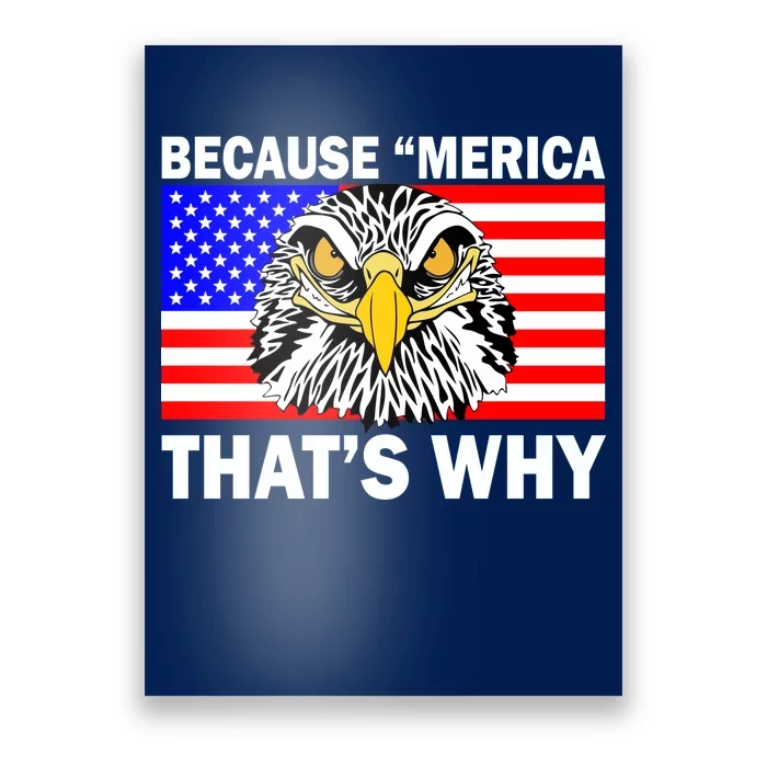 Because 'Merica That's Why! Eagle Poster