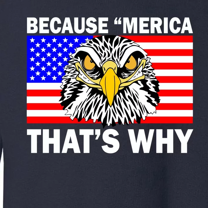 Because 'Merica That's Why! Eagle Toddler Sweatshirt