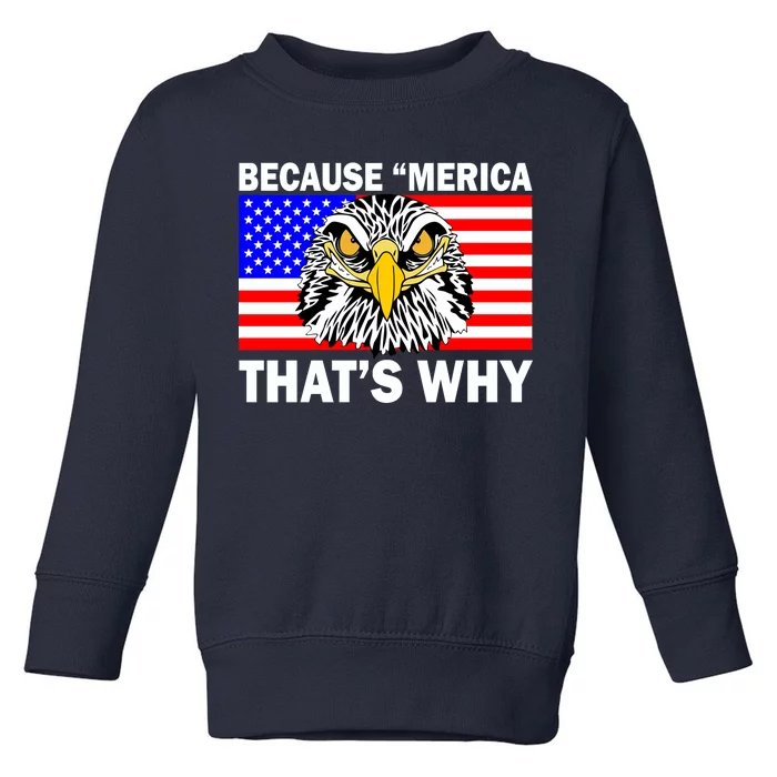 Because 'Merica That's Why! Eagle Toddler Sweatshirt