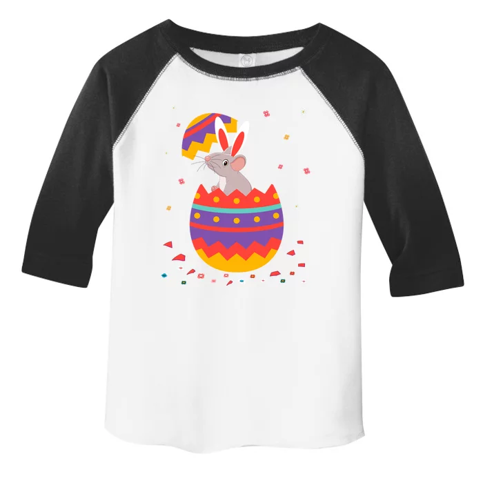 Bunny Ears Eggs Costume Cute Easter Day Graphic Rat Great Gift Toddler Fine Jersey T-Shirt