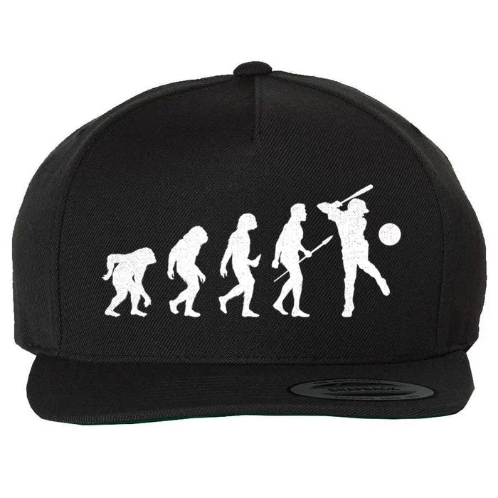 Baseball Evolution Funny Sport Humor Gift Wool Snapback Cap