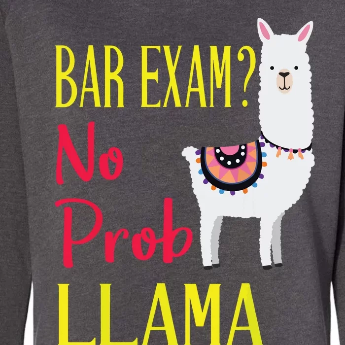 Bar Exam Passing The Passed No Prob Llama Lawyer Law Gift Womens California Wash Sweatshirt