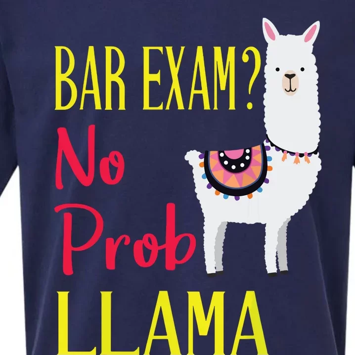 Bar Exam Passing The Passed No Prob Llama Lawyer Law Gift Sueded Cloud Jersey T-Shirt