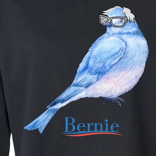 Bernie Bird Cropped Pullover Crew