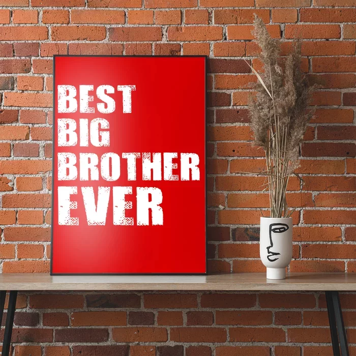 Best Big Brother Ever Poster