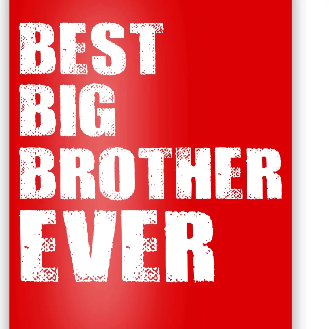 Best Big Brother Ever Poster