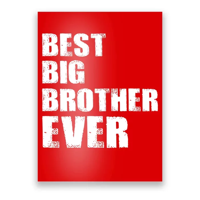 Best Big Brother Ever Poster