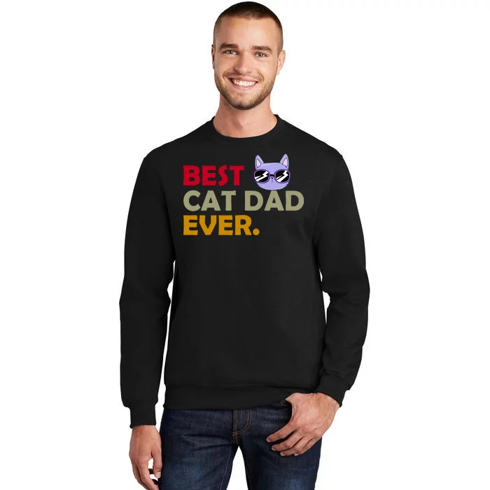 Best Cat Dad Ever Funny Cat Lover Tall Sweatshirt