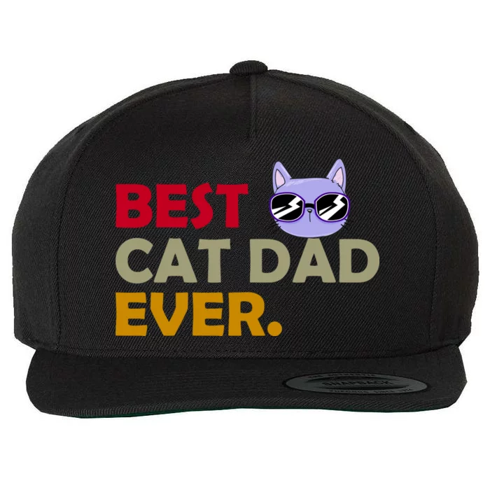 Best Cat Dad Ever Funny Cat Lover Wool Snapback Cap