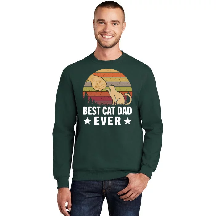 Best Cat Dad Ever Funny Cute Retro Tall Sweatshirt