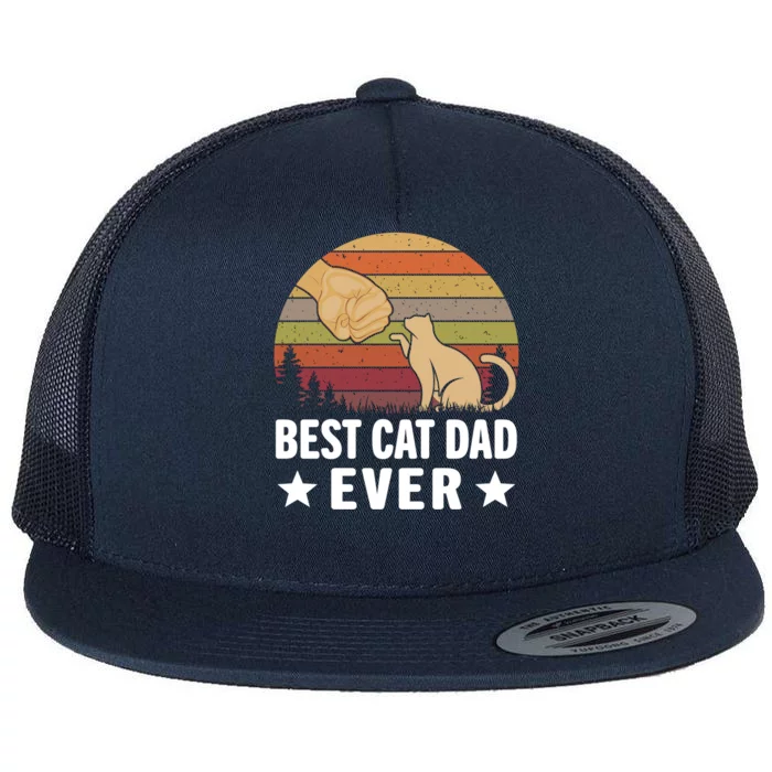 Best Cat Dad Ever Funny Cute Retro Flat Bill Trucker Hat