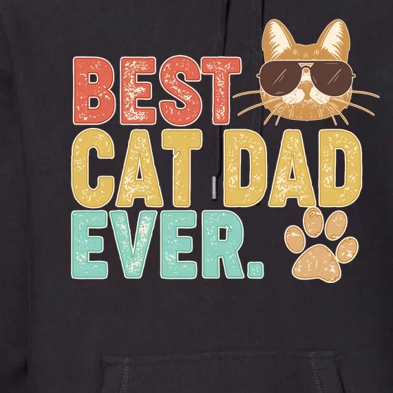 Best Cat Dad Ever Vintage Colors Premium Hoodie