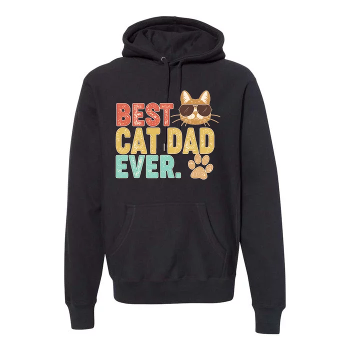 Best Cat Dad Ever Vintage Colors Premium Hoodie