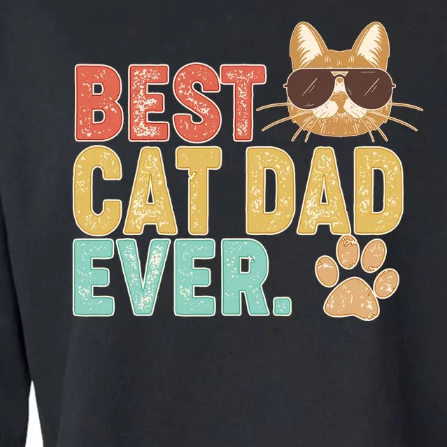 Best Cat Dad Ever Vintage Colors Cropped Pullover Crew