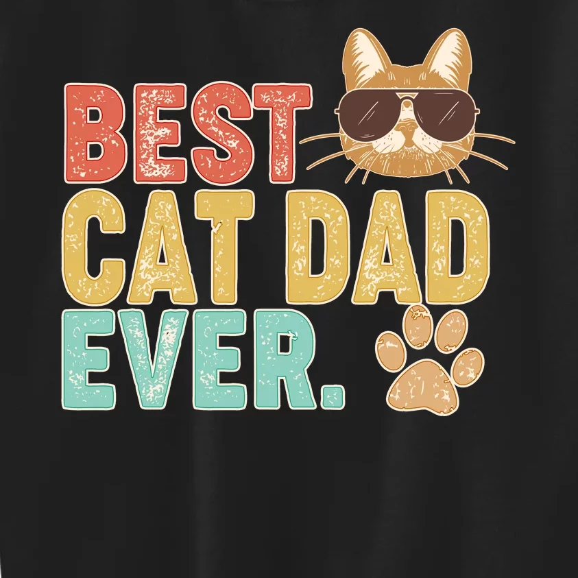 Best Cat Dad Ever Vintage Colors Kids Sweatshirt