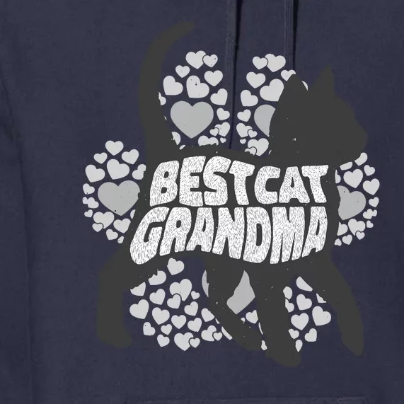 Best Cat Grandma Premium Hoodie