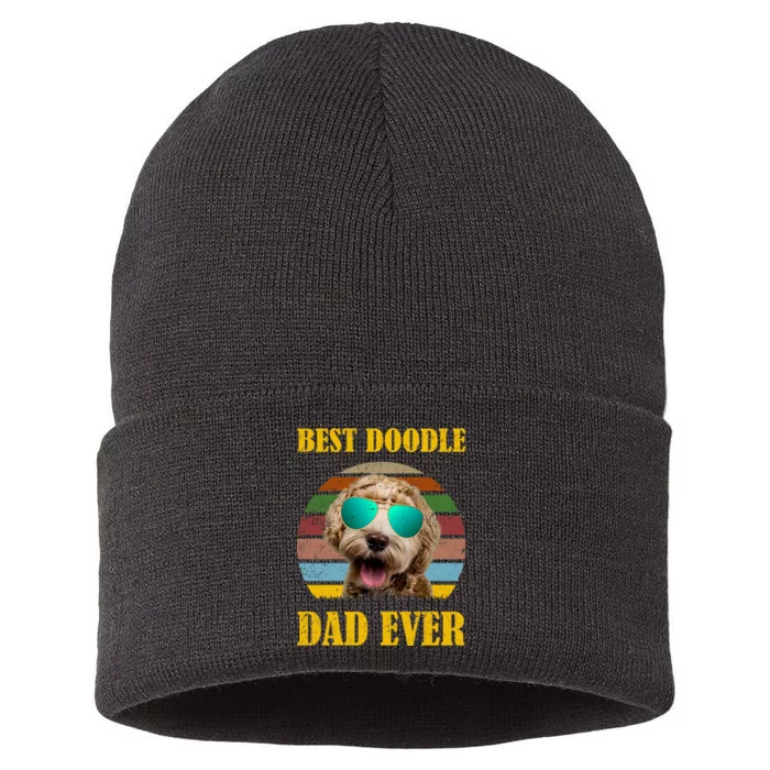 Best Doodle Dad Ever Sustainable Knit Beanie