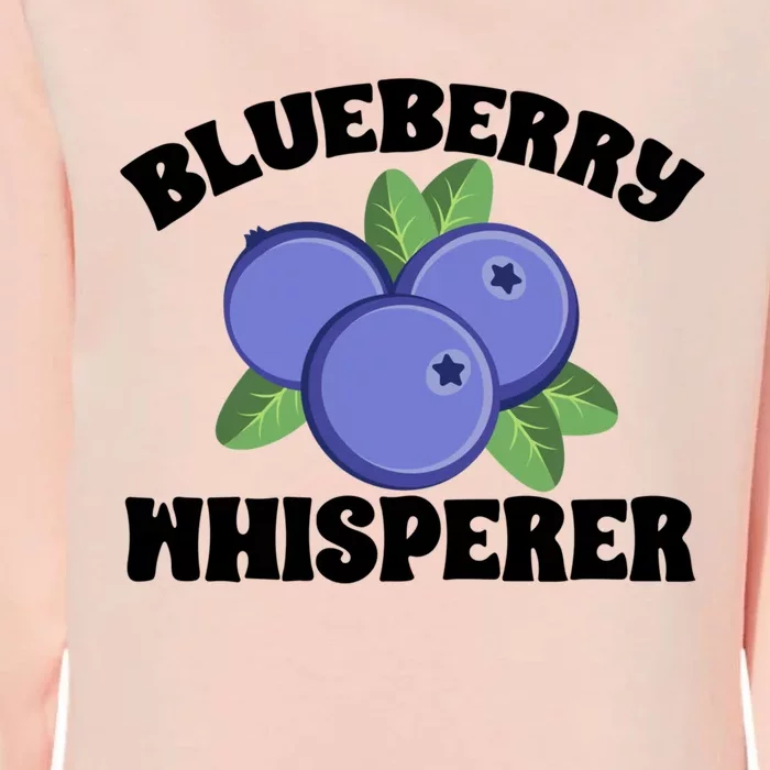 Blueberry Fruit Blueberry Whisperer Great Gift Womens California Wash Sweatshirt