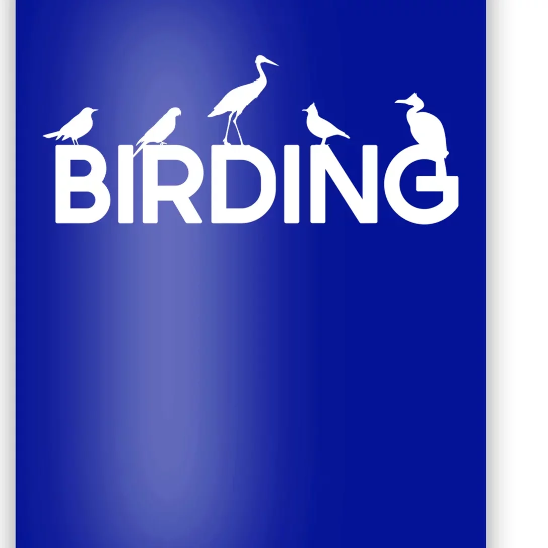 Birding For Bird Lover Gift Poster