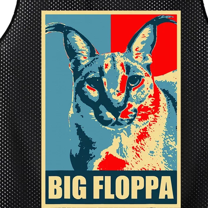 Big Floppa Caracal Cat Meme Mesh Reversible Basketball Jersey Tank