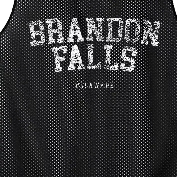 Brandon Falls Delaware Funny Joe Biden Bike Crash Pro Trump Mesh Reversible Basketball Jersey Tank