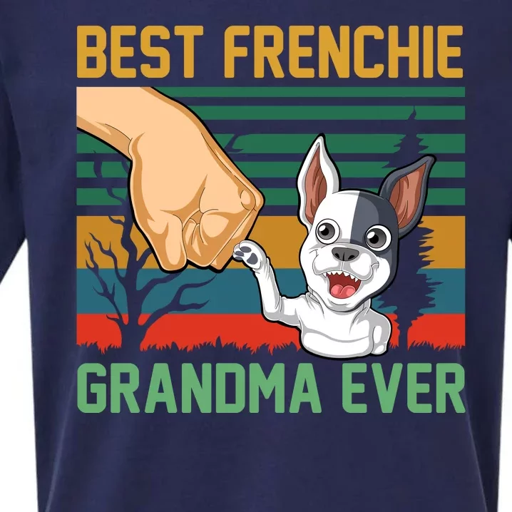 Best Frenchie Grandma Ever Sueded Cloud Jersey T-Shirt