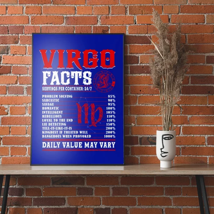 Birthday Funny Gift Virgo Facts Gift Poster