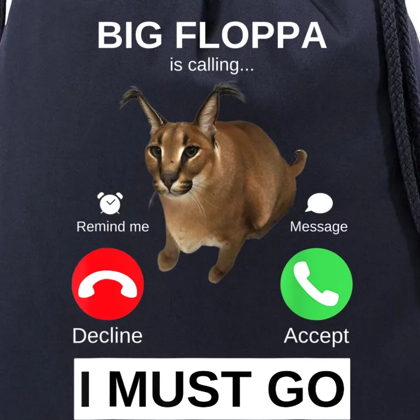 Big Floppa Caracal Big Cat Meme Funny Modern Subversive -  Israel