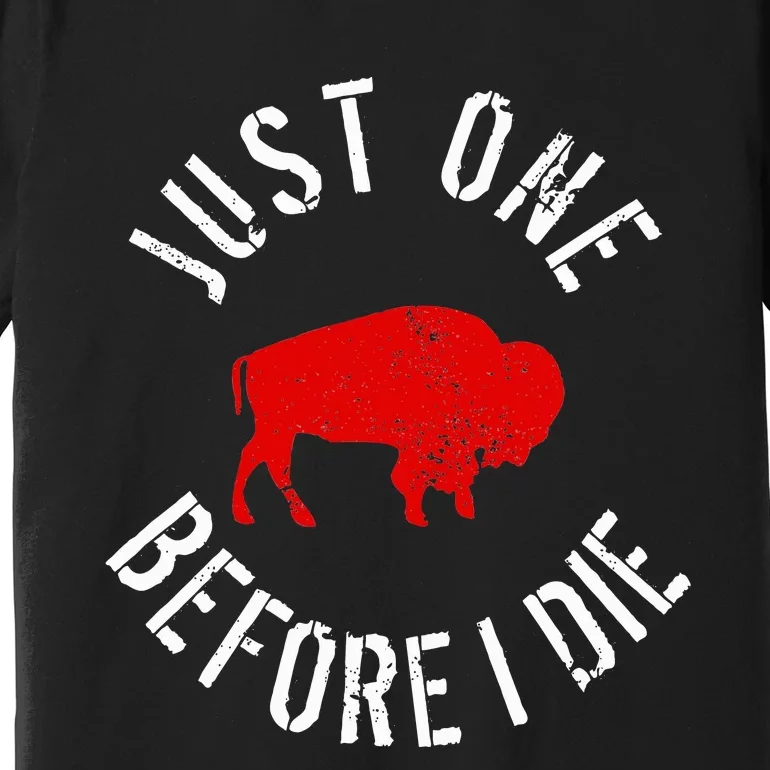 Buffalo Football Just One Before I Die Premium T-Shirt