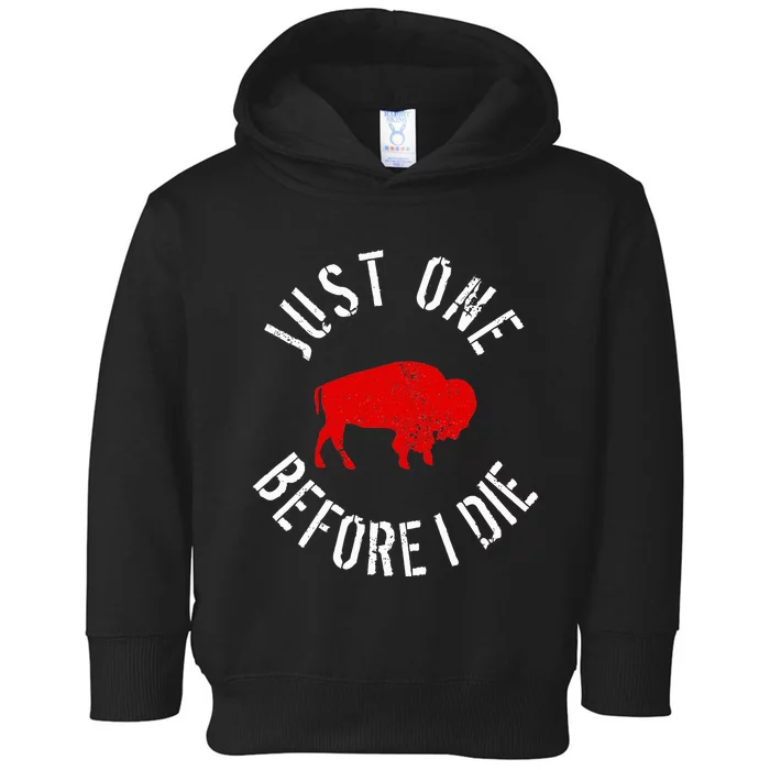 Buffalo Football Just One Before I Die Toddler Hoodie