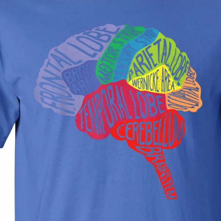 Brain Frontal Lobe Temporal Lobe Cerebellum Brainstem Gift Tall T-Shirt