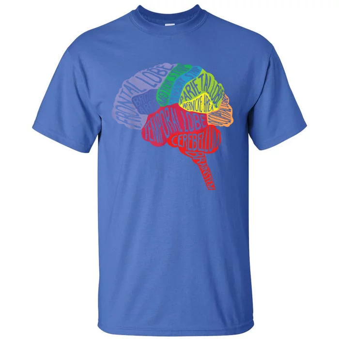 Brain Frontal Lobe Temporal Lobe Cerebellum Brainstem Gift Tall T-Shirt