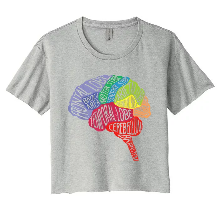 Brain Frontal Lobe Temporal Lobe Cerebellum Brainstem Gift Women's Crop Top Tee