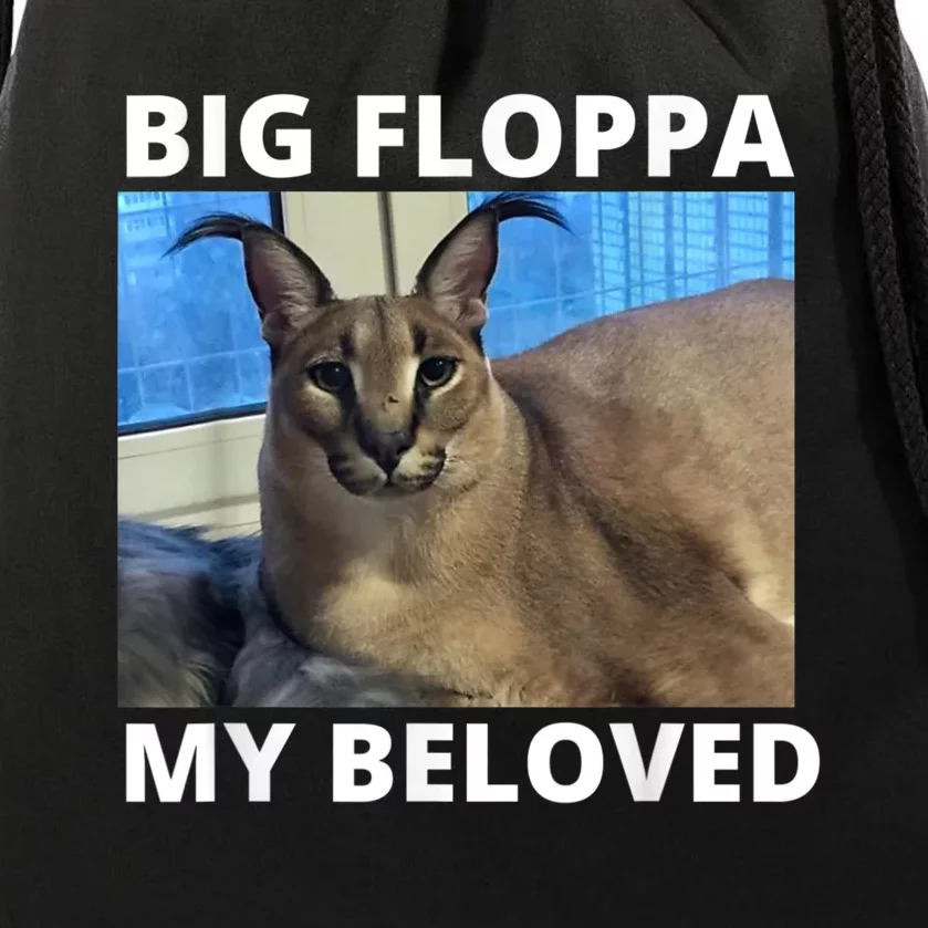 This is normal cat? : r/Floppa