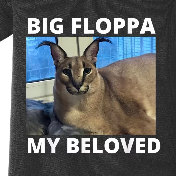Floppa? #floppa #bebe #gato #cat #miau #miaw #🐱 #parati
