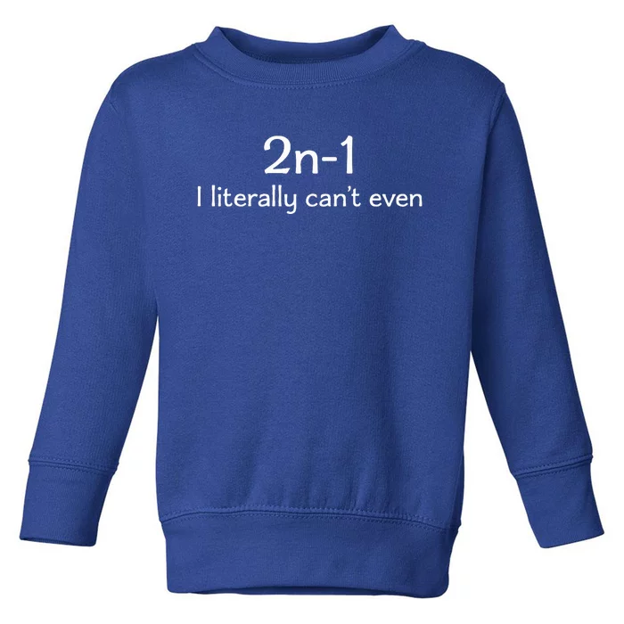 Best Funny Math Teacher Joke Humor Science Fun Math Pun Toddler Sweatshirt