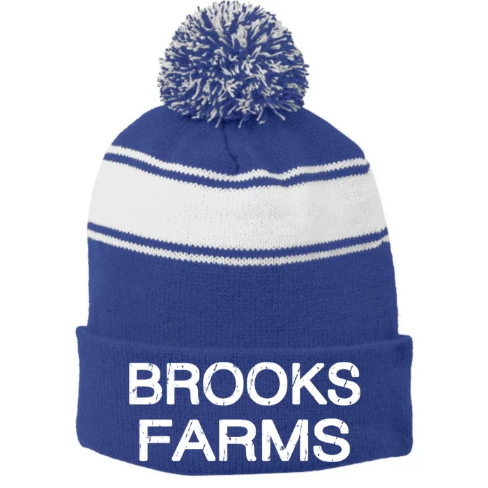 Brooks Farms Squad Family Reunion Last Name Team Gift Stripe Pom Pom Beanie